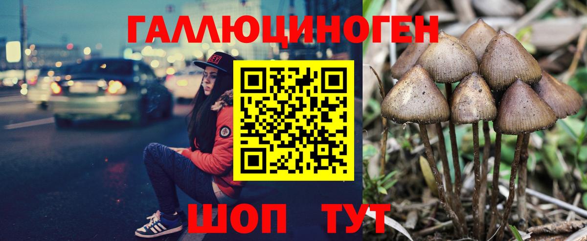 Псилоцибиновые грибы Magic Shrooms Волжск