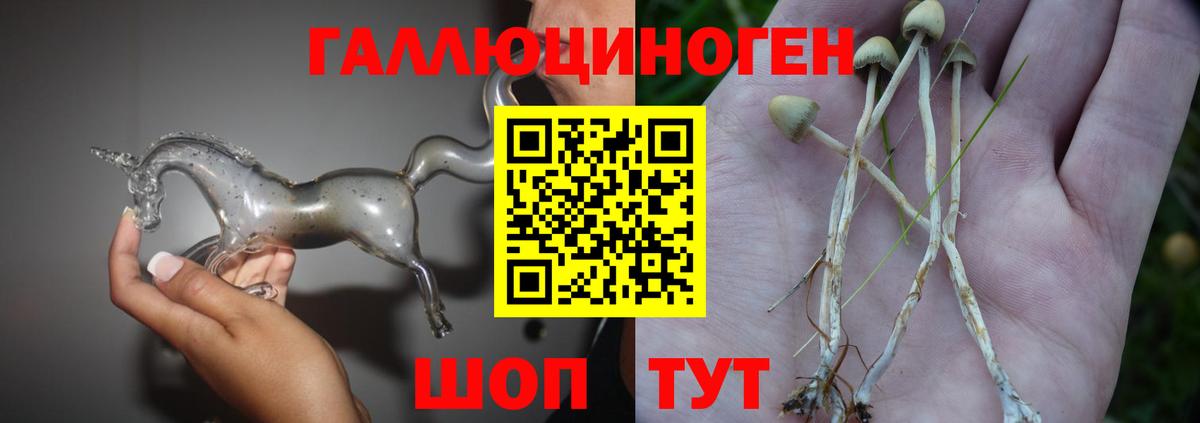 Галлюциногенные грибы ЛСД  Галлюциногенные грибы Magic Shrooms  Волжск  Вход с VPN 